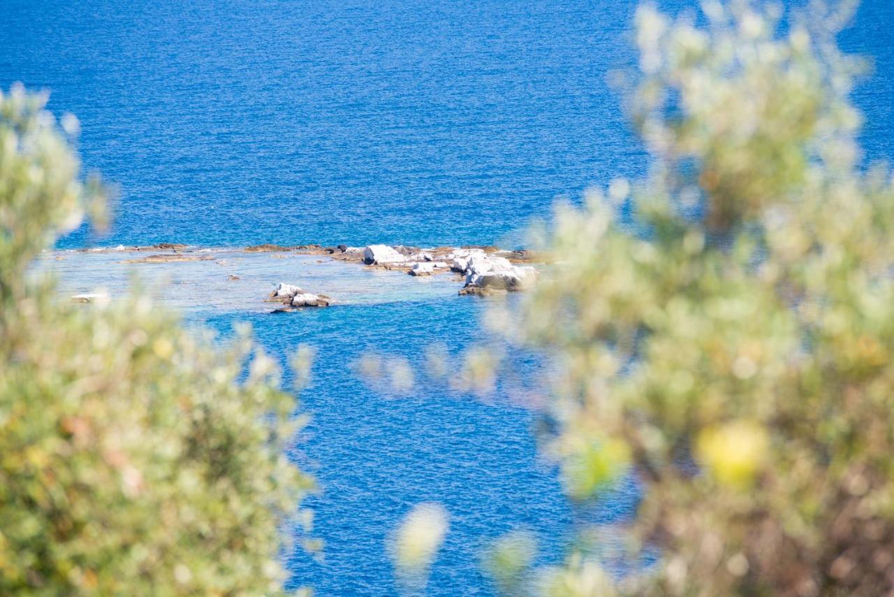 Archodissa Villa Thimonia Exteriör bild